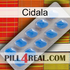 Cidala 22